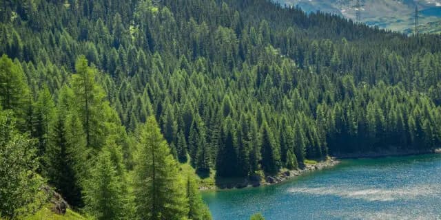 関屋記念(2022)のサインは“山の日”!推奨穴馬2頭とは?