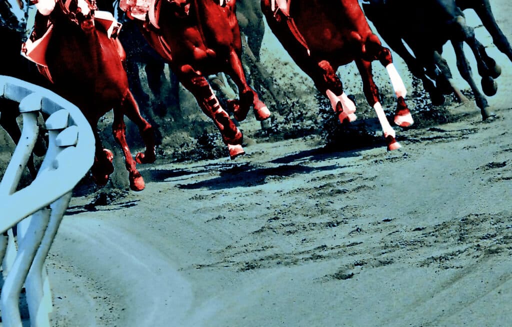 【スプリンターズS予想2022】最終追い切り・調教内容が高評価の馬トップ3は?