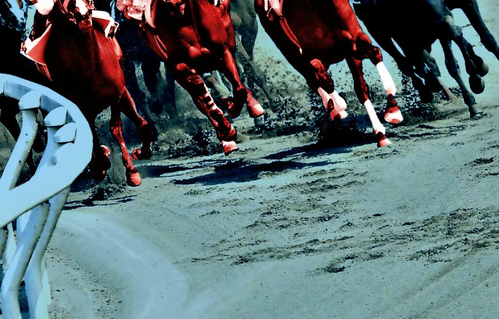 【スプリンターズS予想2022】最終追い切り・調教内容が高評価の馬トップ3は？