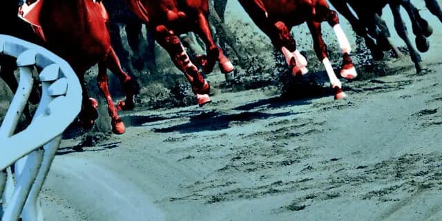 【スプリンターズS予想2022】最終追い切り・調教内容が高評価の馬トップ3は？