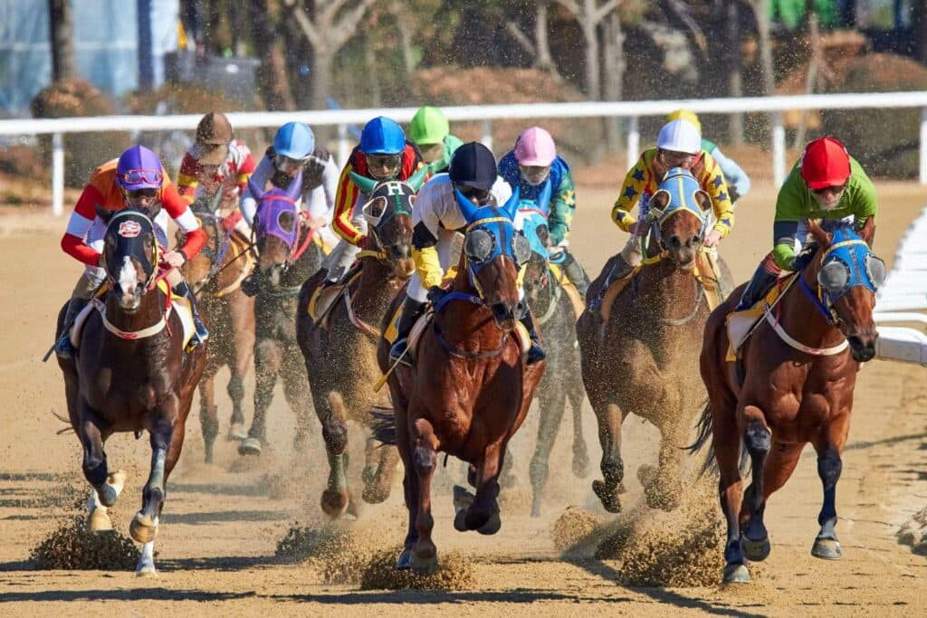 競馬とスロットに賭けるのは似ている？違いは？