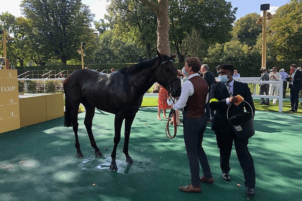 欧州最強馬バーイード、ラストランは4着