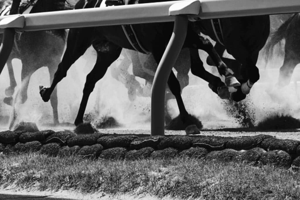 【神戸新聞杯2022】プラダリアは危険な人気馬？重視すべきは「キャリア」か「データ」か