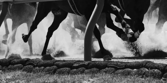 【神戸新聞杯2022】プラダリアは危険な人気馬？重視すべきは「キャリア」か「データ」か