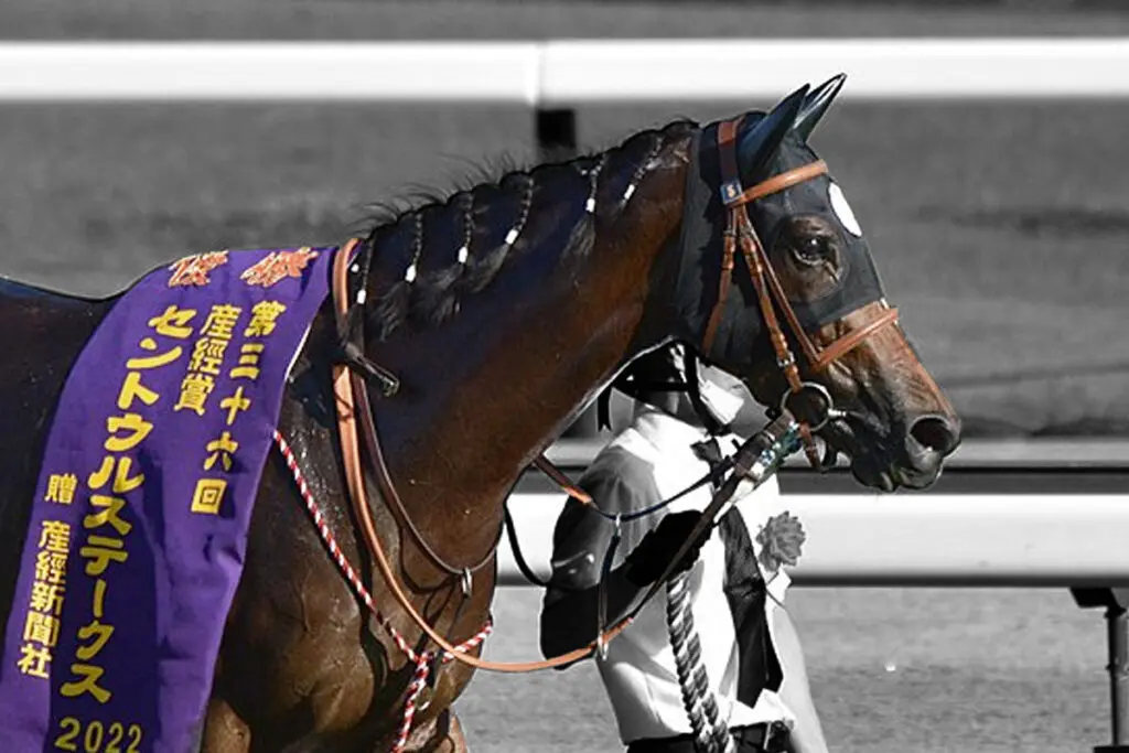 メイケイエールは米G1「BCターフスプリント」か「BCフィリー&メアスプリント」へ！