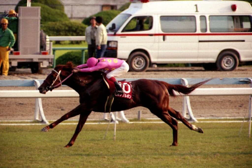 日高町の「赤い羽根共同募金」企画、今年はミホノブルボン！