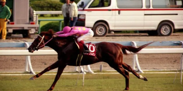日高町の「赤い羽根共同募金」企画、今年はミホノブルボン！