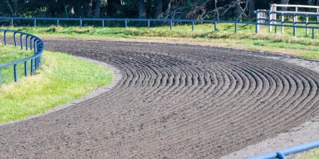 【オールカマー予想2022】最終追い切り・調教内容が高評価の馬トップ3は？