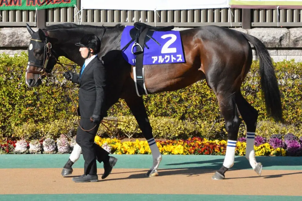 アルクトスが引退、種牡馬へ