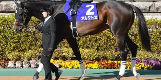 アルクトスが引退、種牡馬へ
