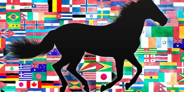 【ジャパンC2025】世界ランク9位のカランダガンや昨年6着のゴリアットなど、4頭の外国馬が招待受諾