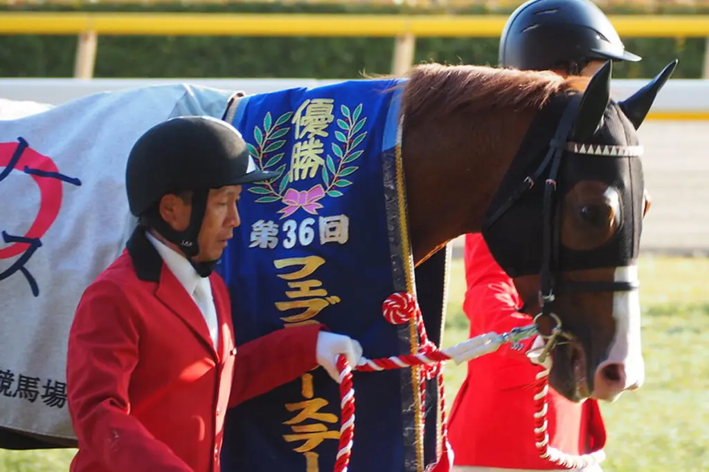 期待の種牡馬インティ、優駿スタリオンステーションに到着