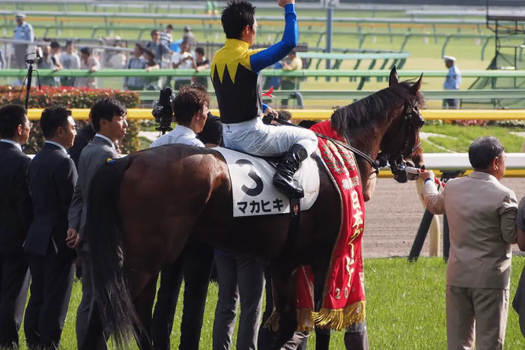 【JRA】マカヒキ引退・種牡馬へ、9歳まで走り続けた“タフ”なダービー馬