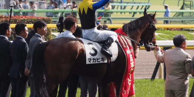 【JRA】マカヒキ引退・種牡馬へ、9歳まで走り続けた“タフ”なダービー馬