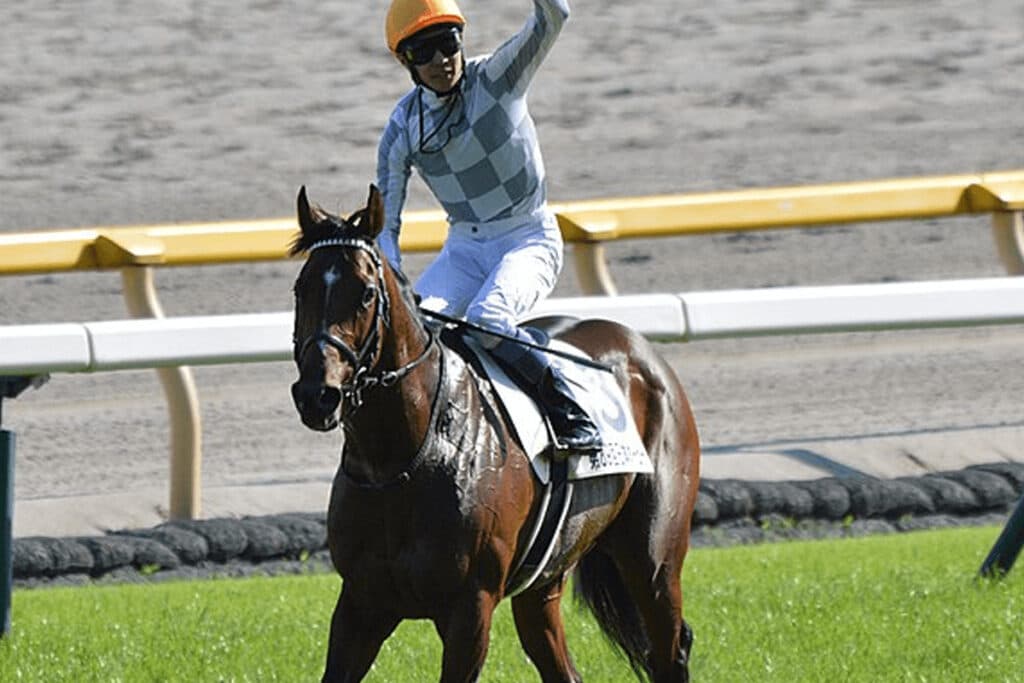 JRA有馬記念（2024）のファン投票最終結果TOP20！1位はドウデュース