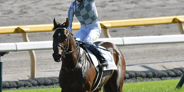 【JRA】ドバイターフ・5着のドウデュースは4日に帰国、次走は宝塚記念を目標