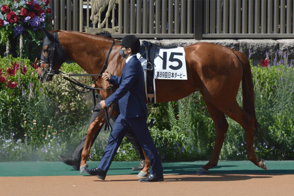 【JRA】ジオグリフが現役引退、今後は種牡馬入りの予定