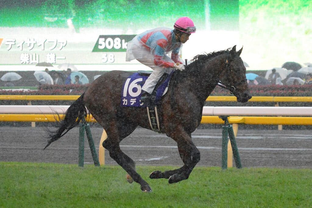 【JRA】重賞3勝のカデナが引退、種牡馬へ