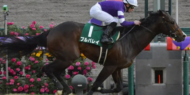 【オーロC予想2022】芝1400mに強い適性の3歳馬プルパレイ、古馬撃破なるか？