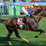 【JRA】天皇賞春Vのテーオーロイヤルが引退、イーストスタッドで種牡馬入りへ