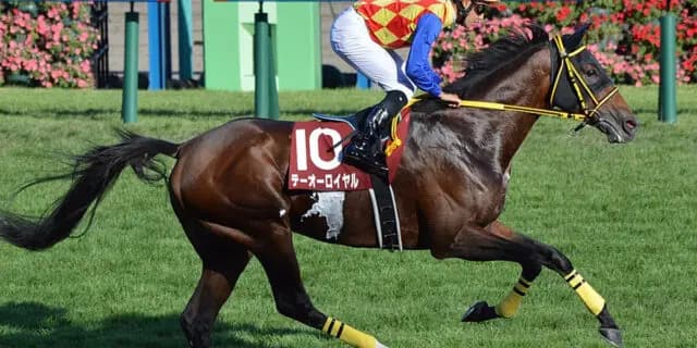 【JRA】テーオーロイヤルは京都大賞典を回避、ジャパンCへ直行