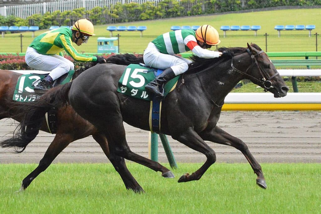 ザダルが引退、右前種子骨靭帯炎が判明