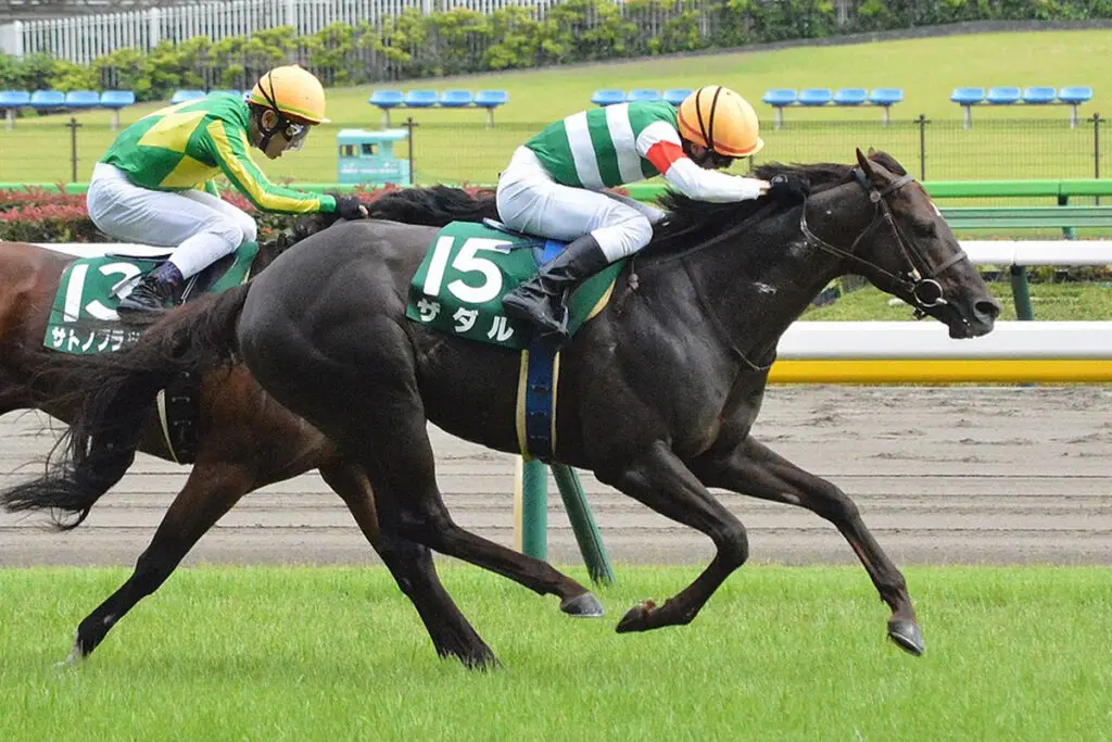 ザダルが引退、右前種子骨靭帯炎が判明