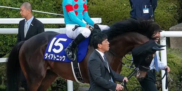 【JRA】ダイアトニックは阪神カップで引退、豪州で種牡馬入りが決定