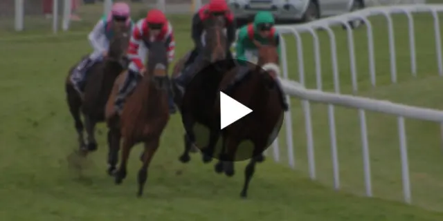 【JRA】2023年3月から〝無料〟で全レース動画配信がスタート！