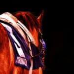 【JRA東京スポーツ杯2歳S2025】クラシックへ前進なるか？真価問われる良血ダノンヒストリー