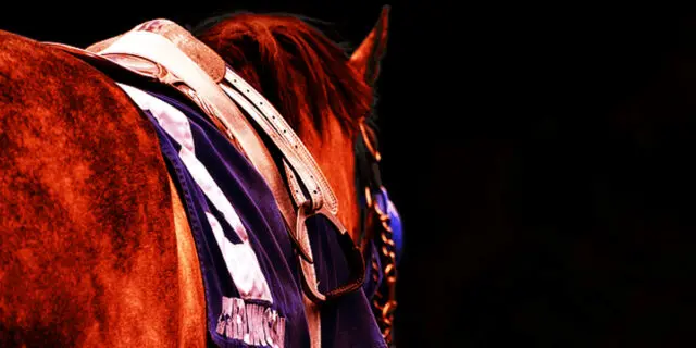 【JRA東京スポーツ杯2歳S2025】クラシックへ前進なるか？真価問われる良血ダノンヒストリー