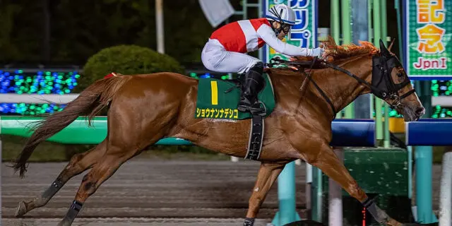 【東京大賞典2022予想】55kgの軽ハンデで激走か？ショウナンナデシコの巻き返しに期待