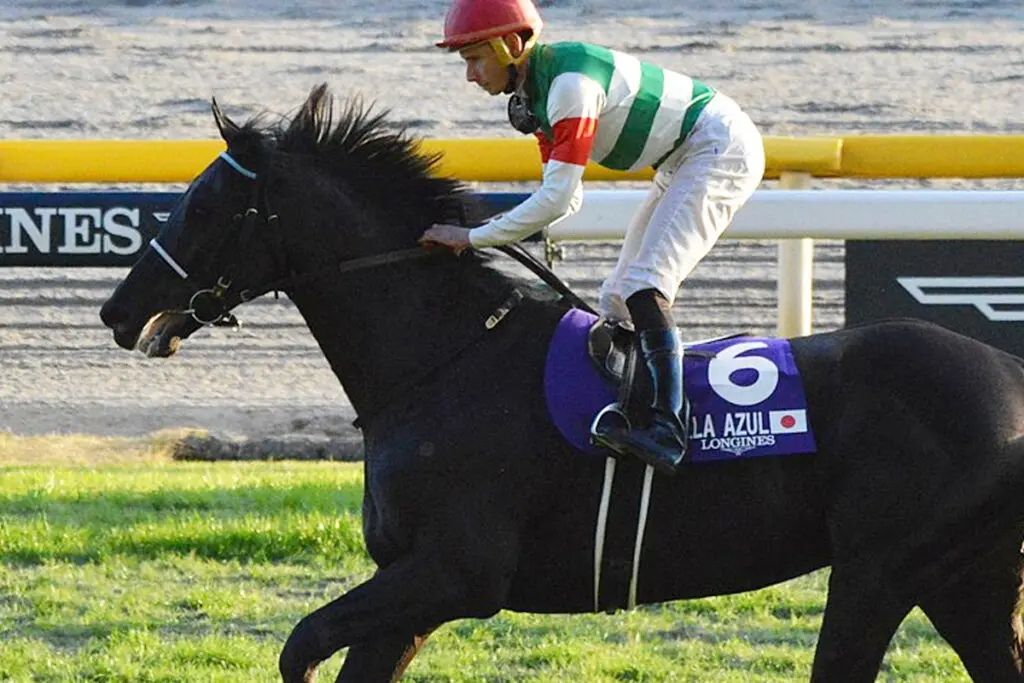 【JRA】ヴェラアズールが屈腱炎で引退、種牡馬入り