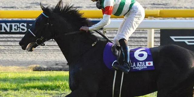 【JRA】ヴェラアズールが屈腱炎で引退、種牡馬入り