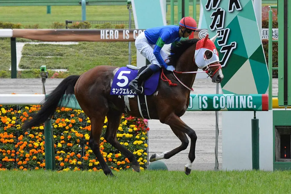 【睦月S予想2023】得意の先行策がハマりそうな「あの馬」に注目
