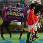 【JRA】キンシャサノキセキが種牡馬引退、フジキセキの後継種牡馬として活躍