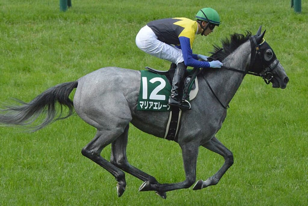 【小倉記念2023予想】マリアエレーナは危険な人気馬か？