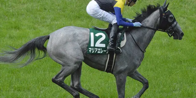 【小倉記念2023予想】マリアエレーナは危険な人気馬か？