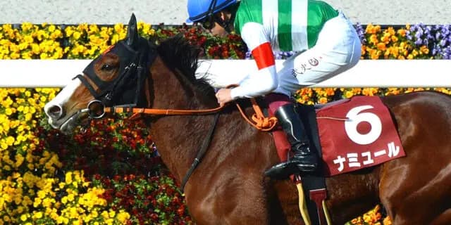 【ヴィクトリアマイル予想2024】断然主役のナミュール、最大の課題は“状態面”