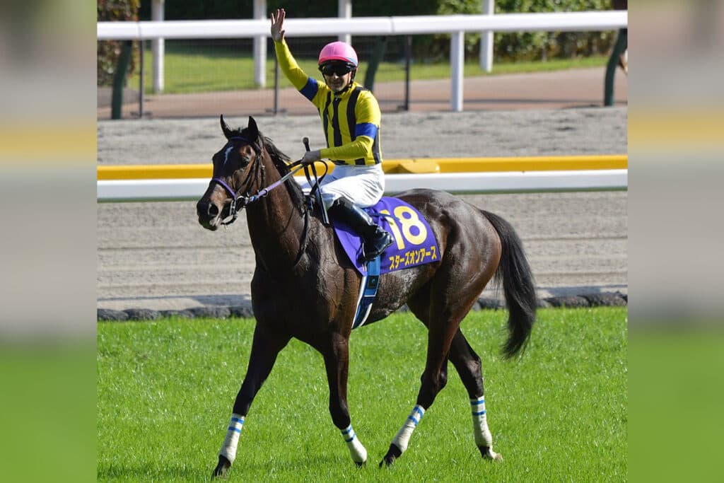 【JRA】秋華賞3着のスターズオンアース、巻き返しへ向けて大阪杯に照準合わせる