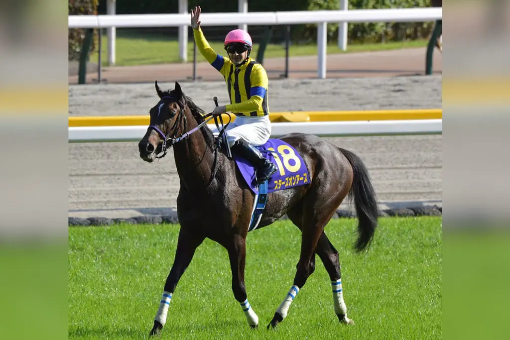 【JRA】秋華賞3着のスターズオンアース、巻き返しへ向けて大阪杯に照準合わせる