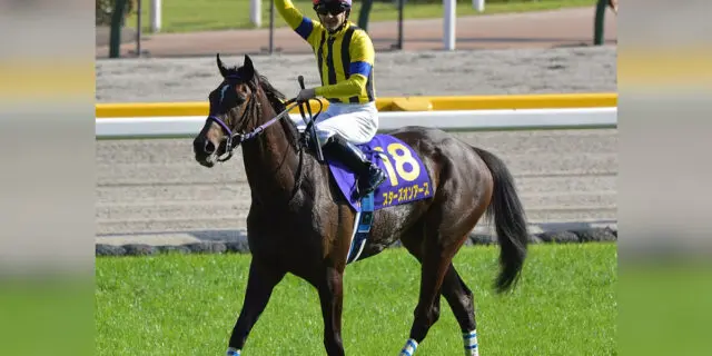 【JRA】秋華賞3着のスターズオンアース、巻き返しへ向けて大阪杯に照準合わせる