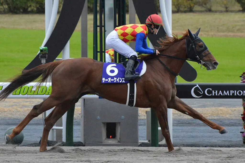 【JRA】テーオーケインズは川崎記念で始動、その後はドバイワールドCへ