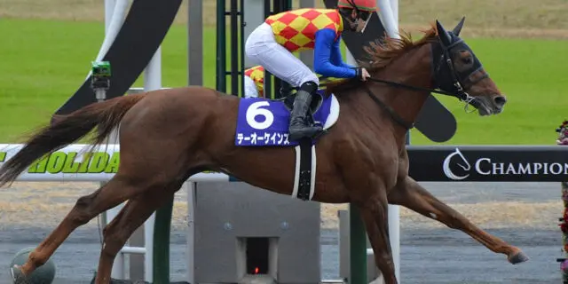 帝王賞・3着のテーオーケインズ、JBCクラシックで連覇狙う