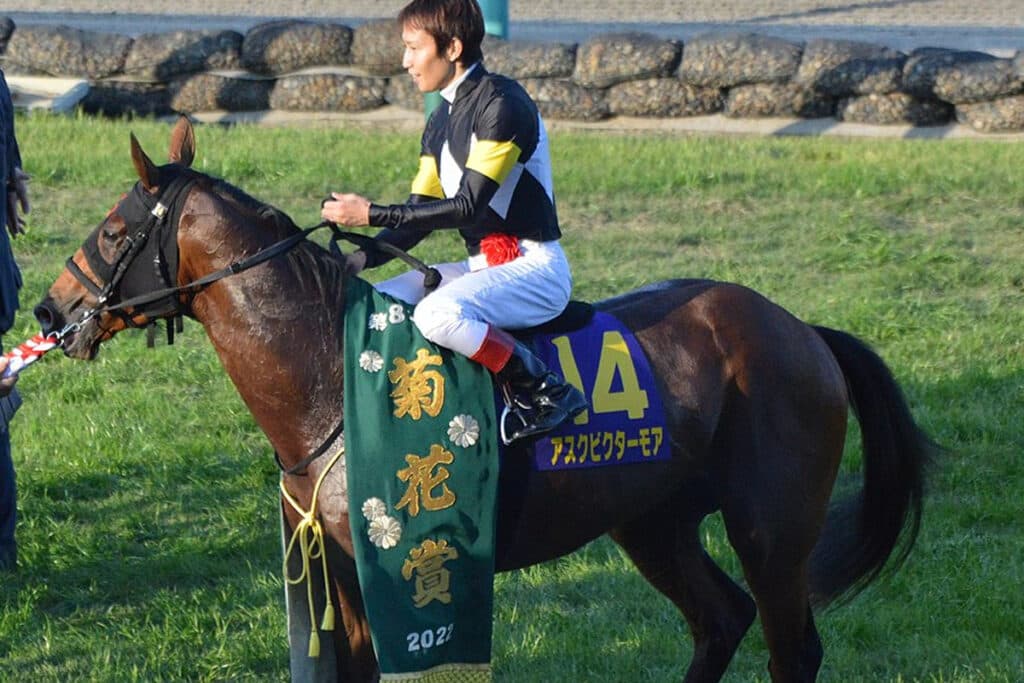 【JRA】天皇賞春・11着のアスクビクターモア、宝塚記念で巻き返しへ