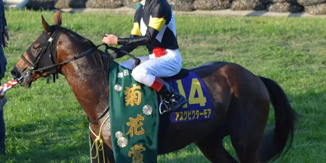 【JRA】天皇賞春・11着のアスクビクターモア、宝塚記念で巻き返しへ