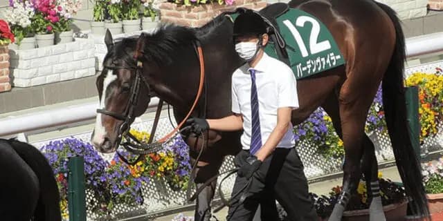 【佐賀記念2023予想】バーデンヴァイラー〝確勝級〟か？カギは気性面