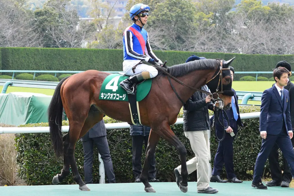 【JRA】ロードカナロア産駒系では〝異色タイプ〟のキングオブコージが種牡馬入り