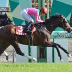 【アルゼンチン共和国杯2025予想】復権狙うプラダリア、1週前追い切りで自己最速のラスト1F11秒1！