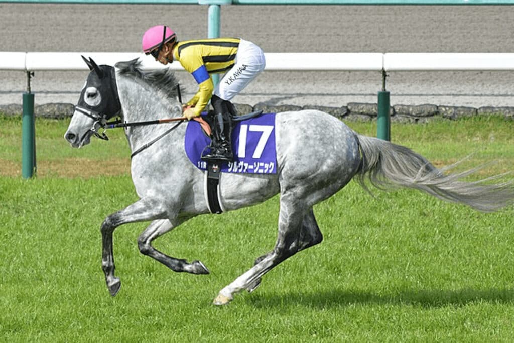 【JRA】シルヴァーソニックは天皇賞・春へ、昨年落馬のリベンジへ